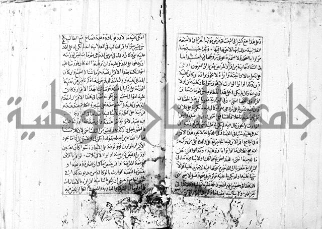 الاشباه والنظائر