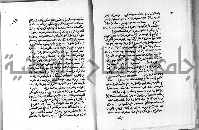 حاشية الجمل على تفسير الجلالين 