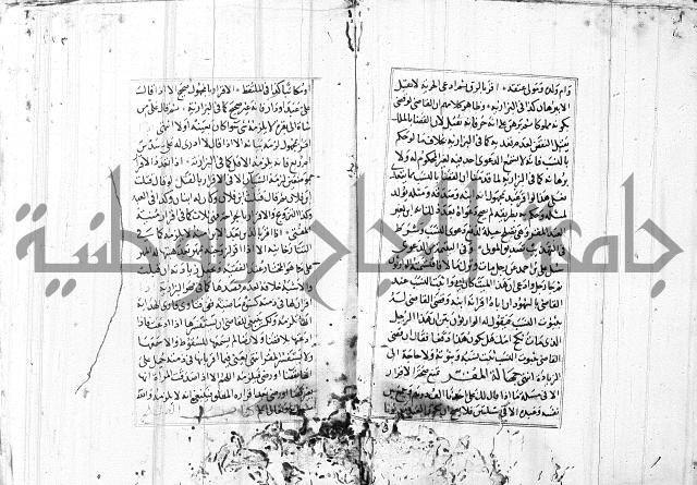 الاشباه والنظائر