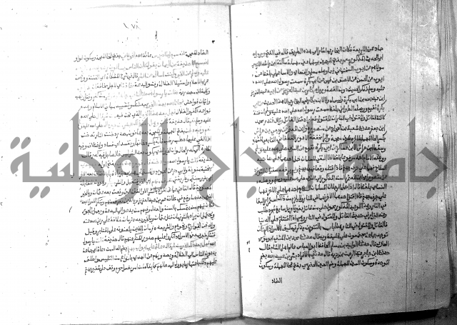ارشاد الساري 10    