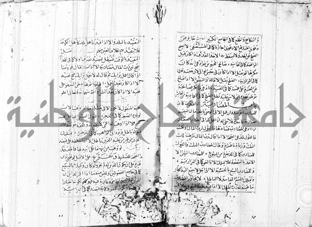 الاشباه والنظائر