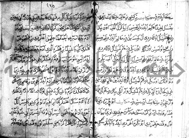 عبارات بالتركية