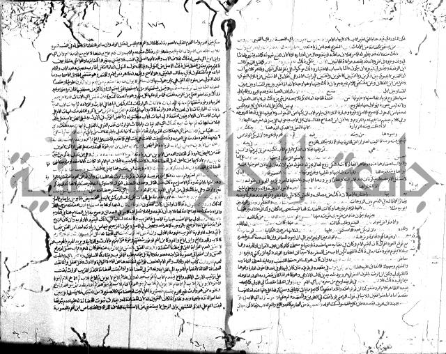 شرح الروض ج2