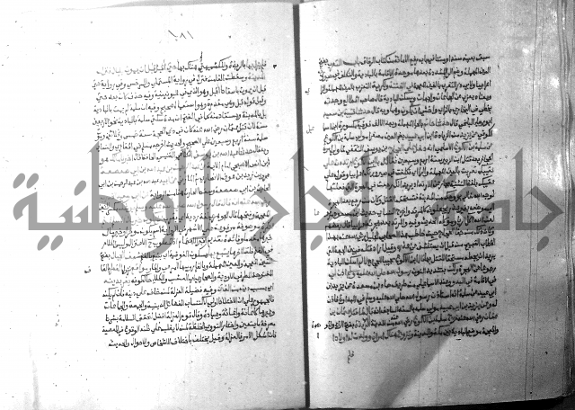 ارشاد الساري 10    