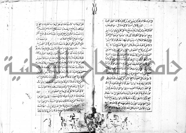 الاشباه والنظائر