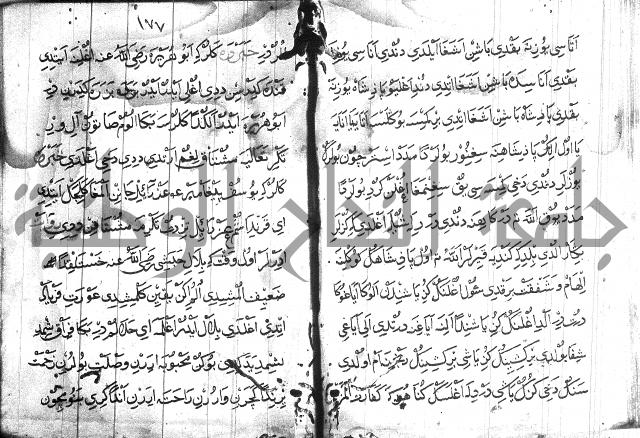 عبارات بالتركية