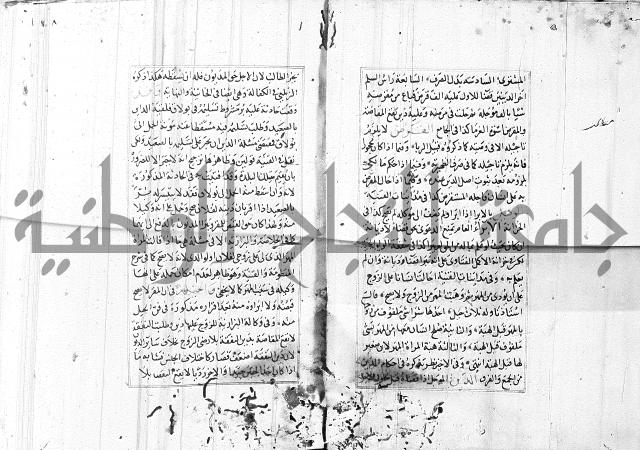 الاشباه والنظائر