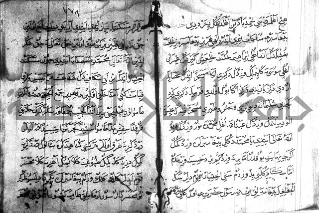 عبارات بالتركية