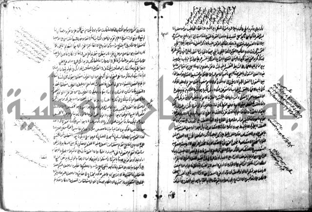 حاشية في المعاني والبيان 