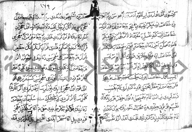 عبارات بالتركية