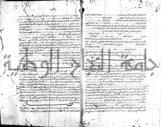 شرح الروض ج2