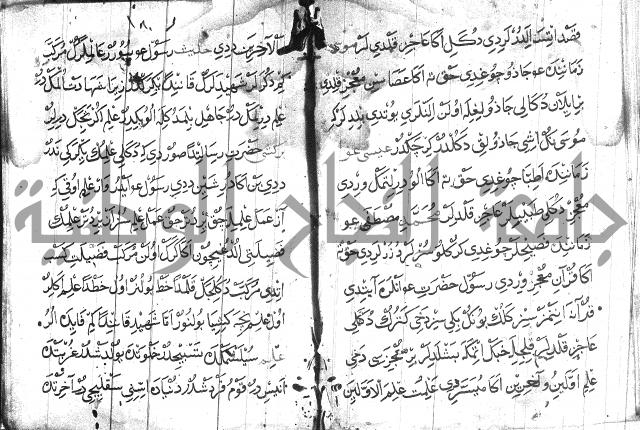 عبارات بالتركية