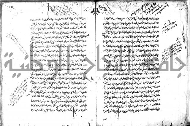 حاشية في المعاني والبيان 