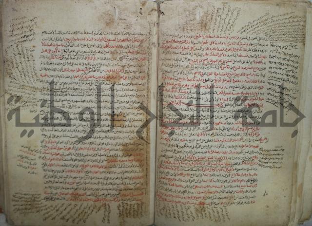 نهاية المحتاج الى شرح  المنهاج الجزء الثاني 