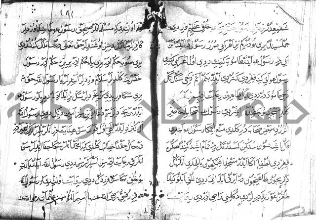 عبارات بالتركية