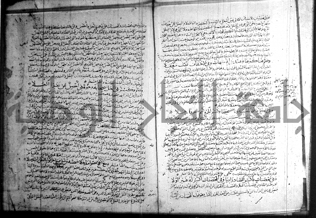 شرح الشاطبية