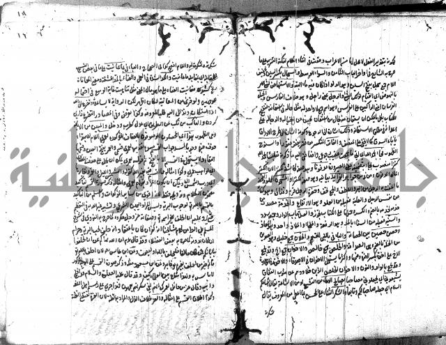 حاشية في المعاني والبيان 