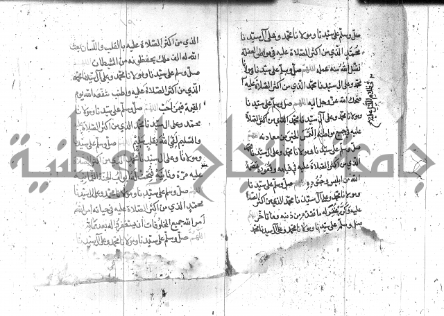 تنبيه الانام