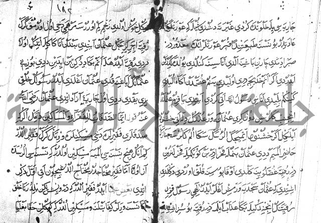 عبارات بالتركية