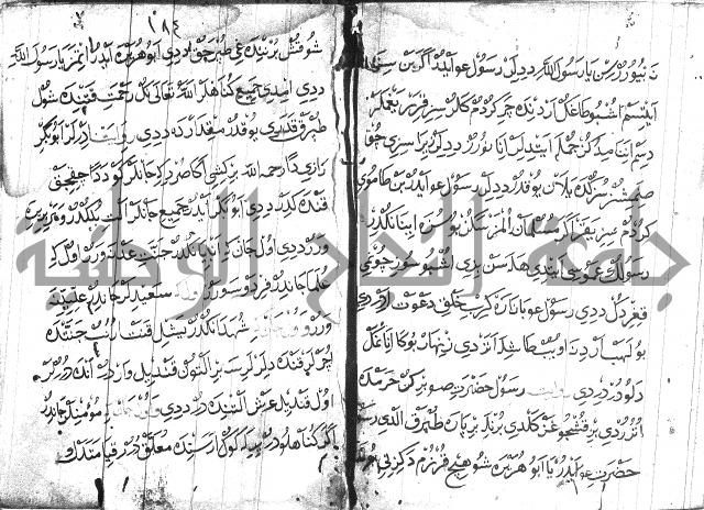 عبارات بالتركية