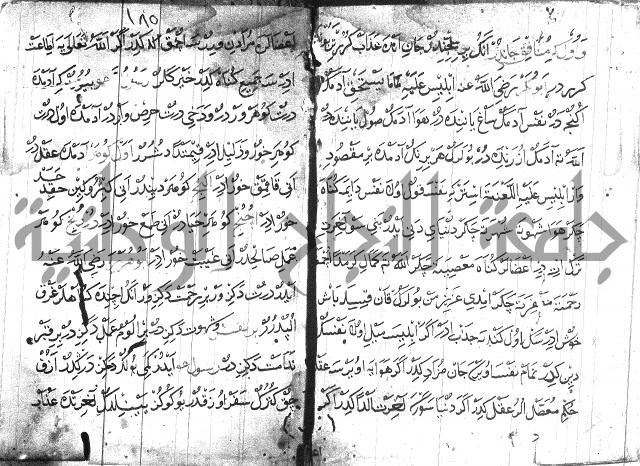 عبارات بالتركية