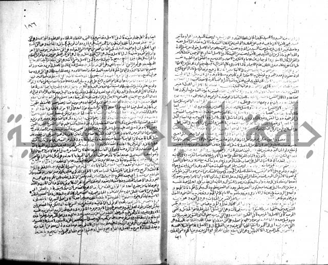 شرح الروض ج2