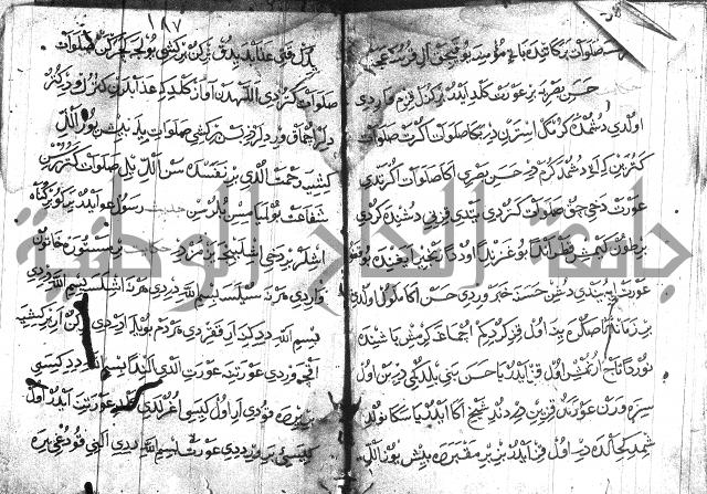 عبارات بالتركية
