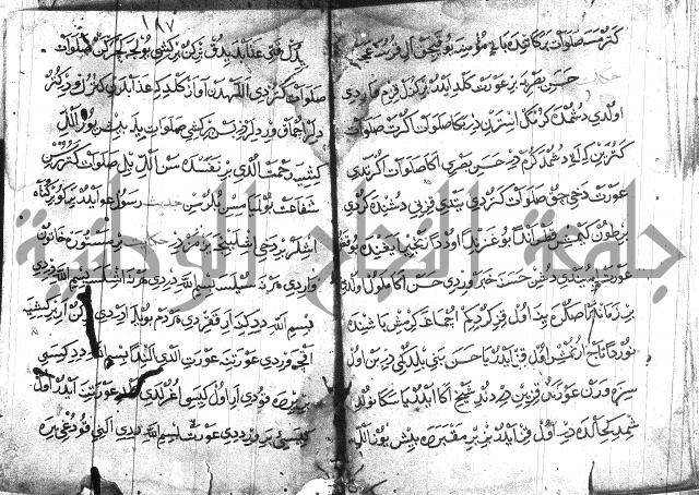 عبارات بالتركية