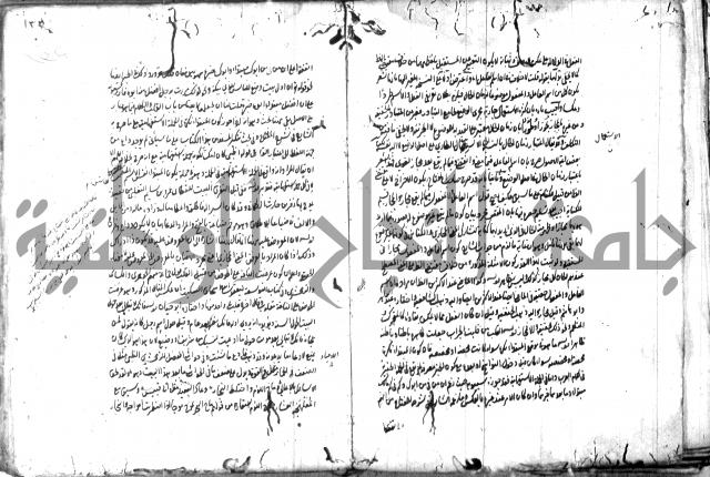 حاشية في المعاني والبيان 