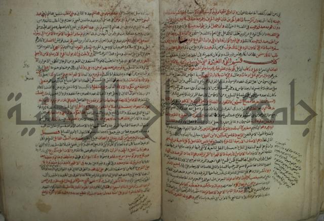 نهاية المحتاج الى شرح  المنهاج الجزء الثاني 