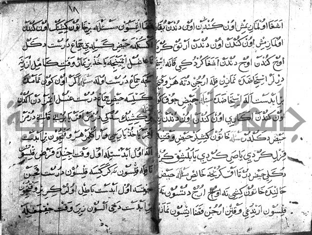 عبارات بالتركية