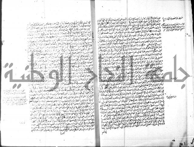 منح الغفار-الجزء الثاني من المنح شرح تنوير الابصار 