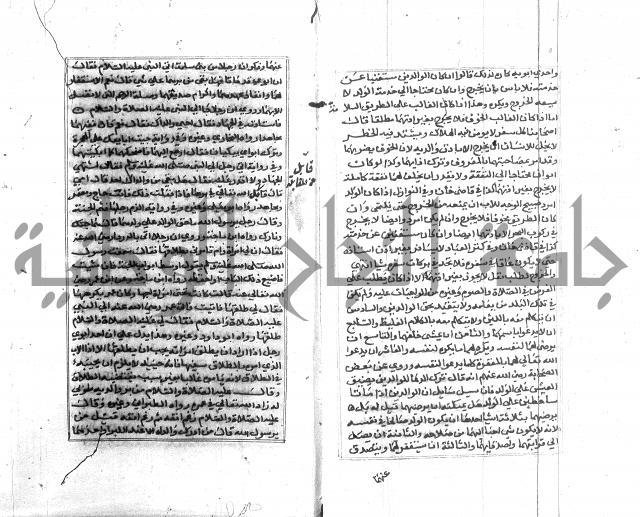 تبين المحارم 