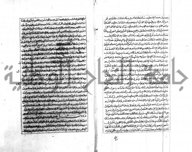 تبين المحارم 
