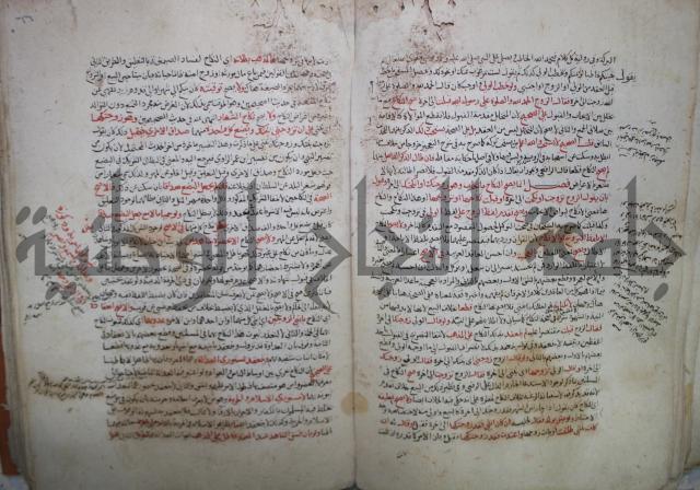 نهاية المحتاج الى شرح  المنهاج الجزء الثاني 