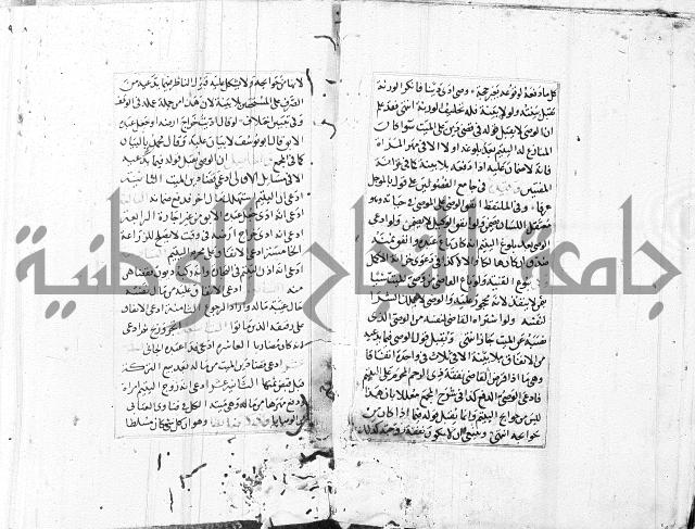 الاشباه والنظائر