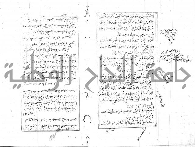 الجامع الصغير 