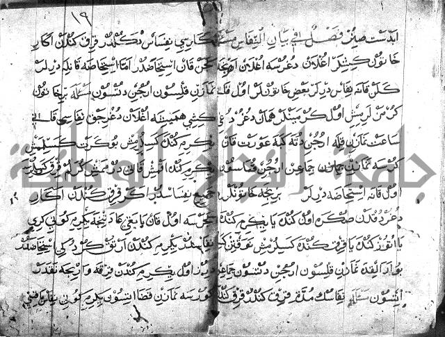 عبارات بالتركية