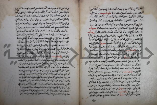 فتاوى لاحمد رمضان الأنشاصي