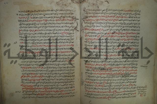 نهاية المحتاج الى شرح  المنهاج الجزء الثاني 