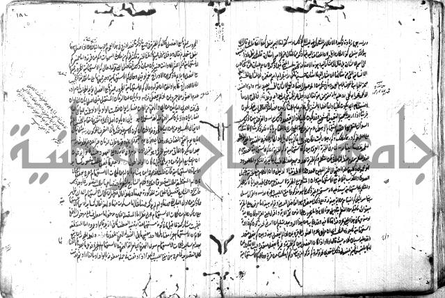 حاشية في المعاني والبيان 