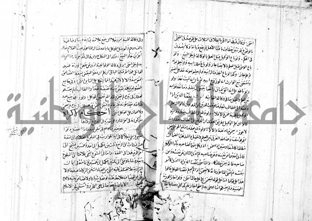 الاشباه والنظائر