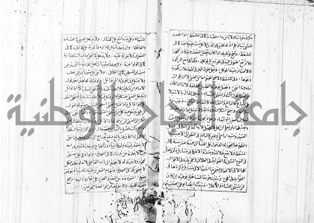 الاشباه والنظائر
