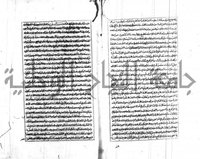 تبين المحارم 