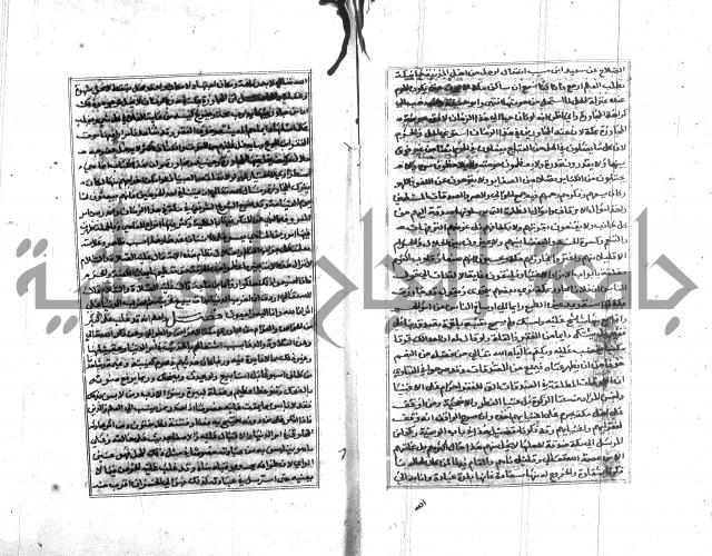 تبين المحارم 