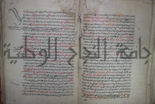 نهاية المحتاج الى شرح  المنهاج الجزء الثاني 