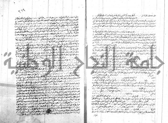 شرح الروض ج2