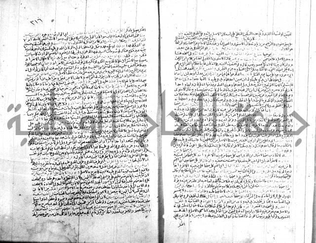 شرح الروض ج2