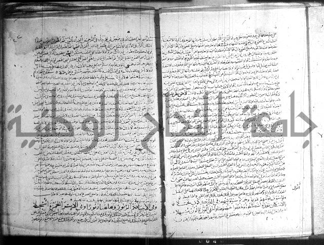 شرح الشاطبية