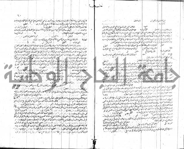 شرح الروض ج2